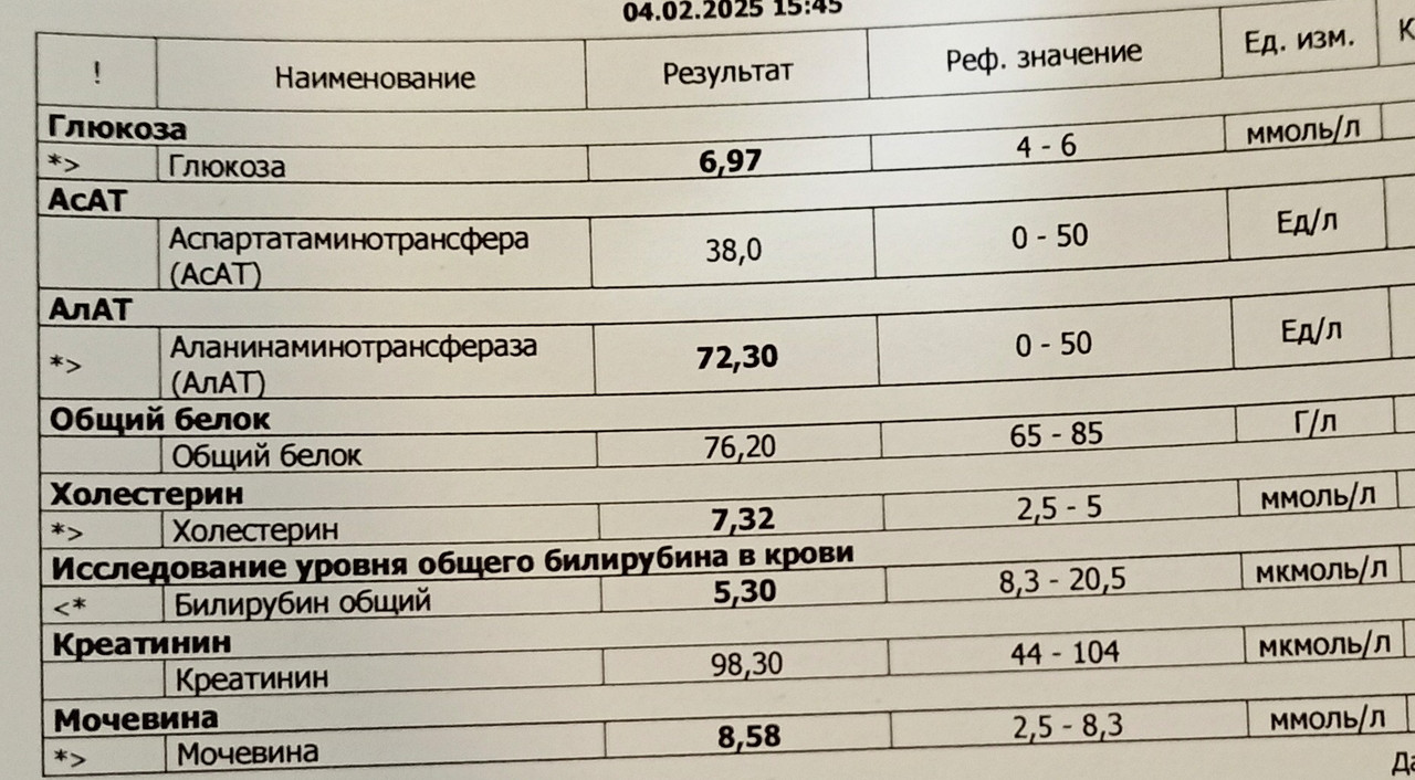 IMG-20250319-190817608-2.jpg