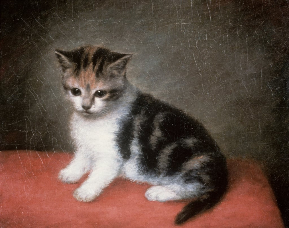George Stubbs - Miss Ann Whites Kitten 1790 - (MeisterDrucke-78750)