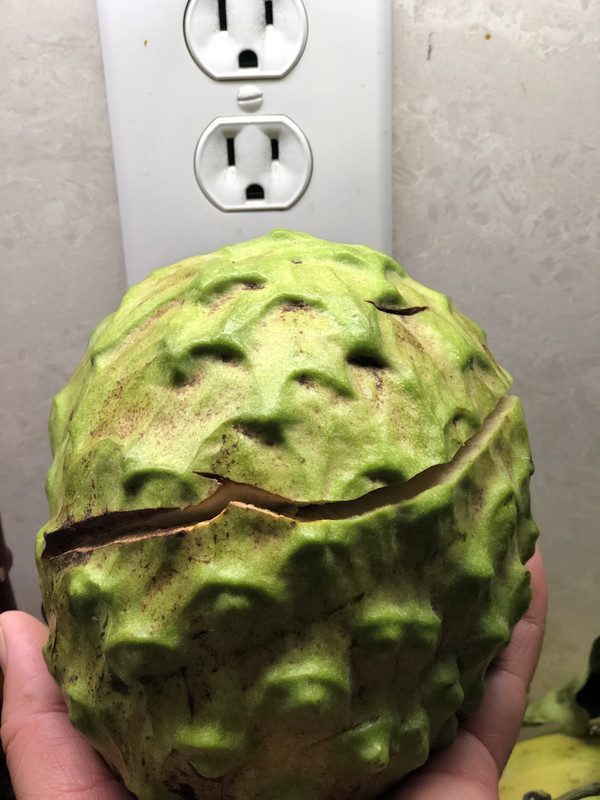 E1858F7B-2912-4E1E-B8AA-DB776E6C986E