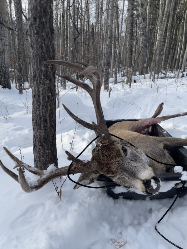 29CA4052-44AC-408E-ABB3-D852922692DD