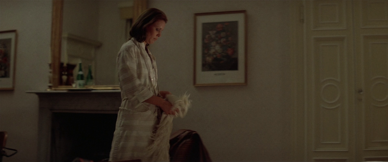 vlcsnap-2022-07-06-12h06m36s664