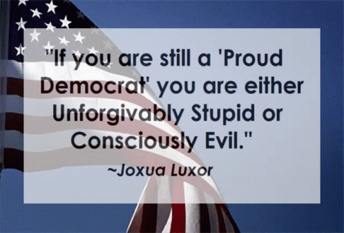 democrat-unforgivably-stupid