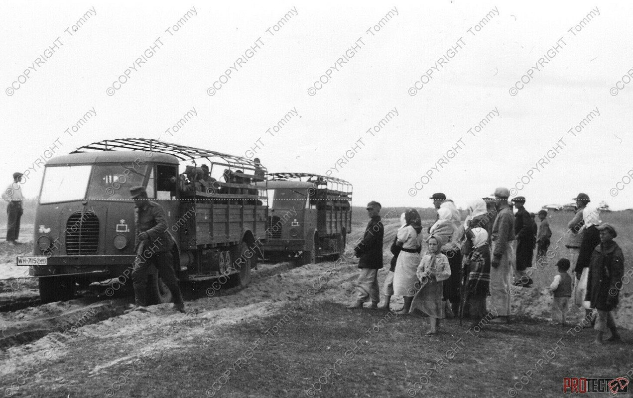 orig Foto Front Ostfront Finnland Gebirgs Panzerjäger Abteilung  99 Verschiffung nach Finnland beute