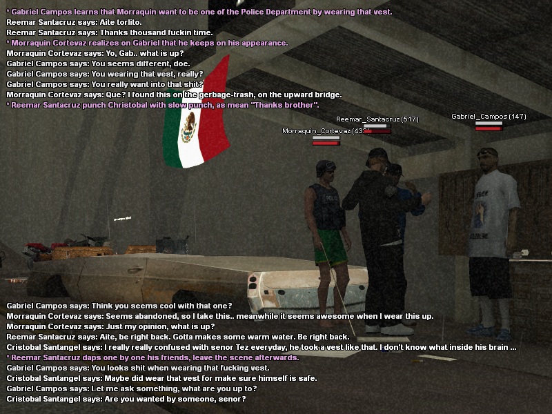 SS3.png