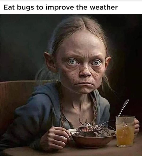 Eat-Bugs-To-Improve-the-weather