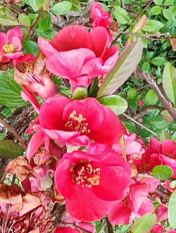 IMG 20260413 190330B