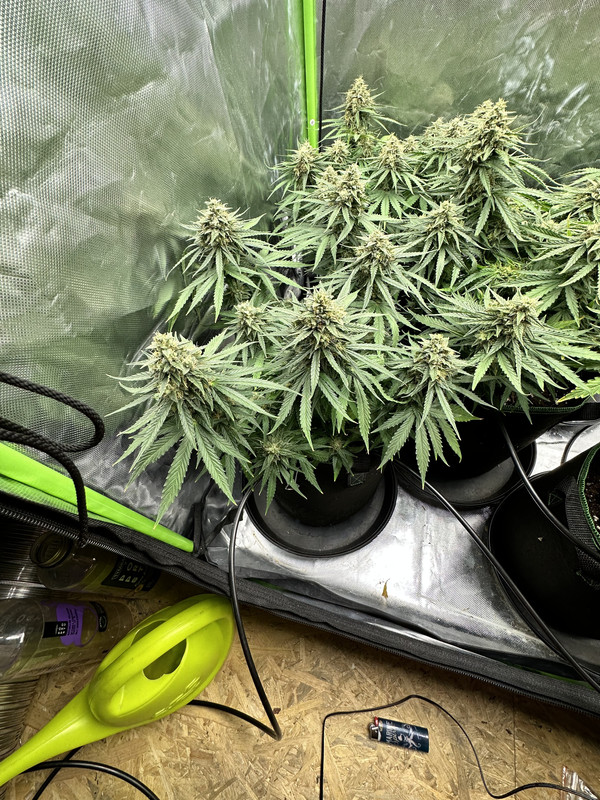 6E798CA5-5BE2-4E13-AEFF-19A5E9636C0C