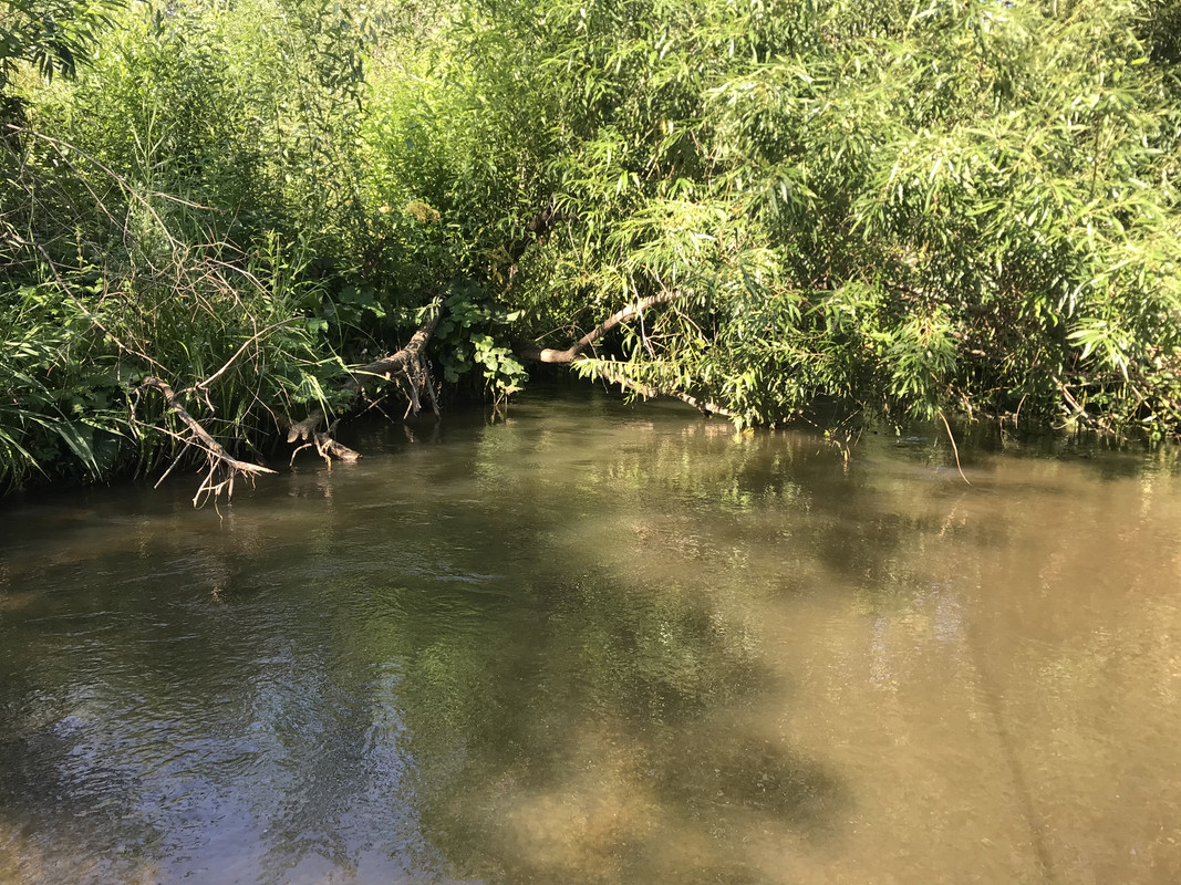 D99BF126-A153-449C-B777-2CA24FC8583C