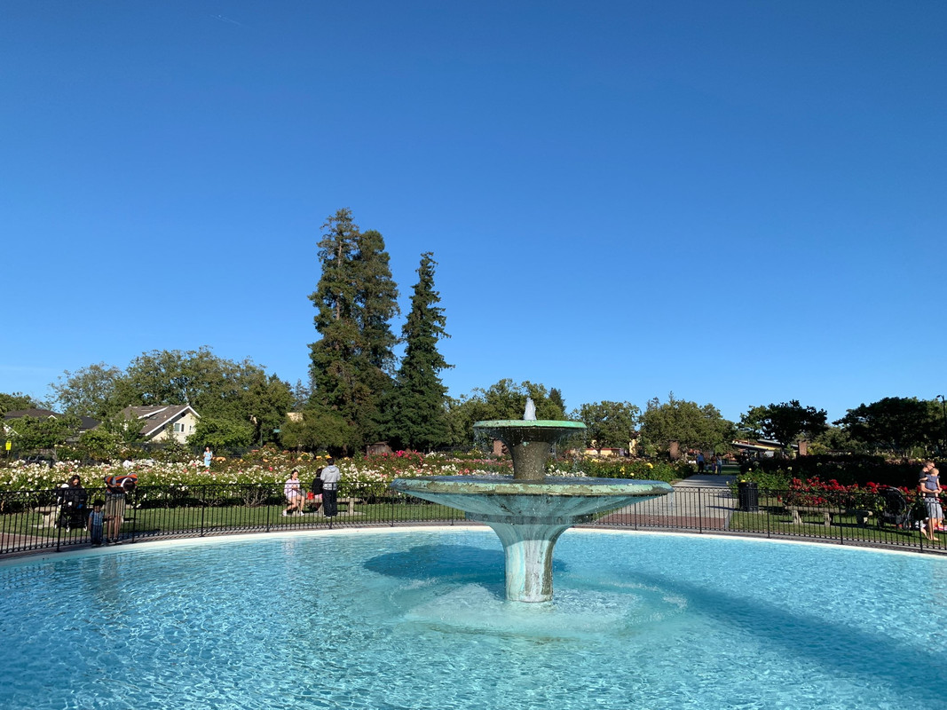 [Image: C6-C41-AC2-7480-490-C-B14-F-08-EF7211-A65-A.jpg]