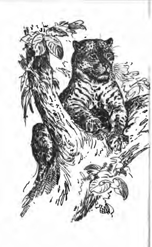p0005