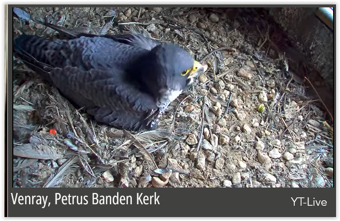 Screen Shot 03-15-25 at 09.29 AM