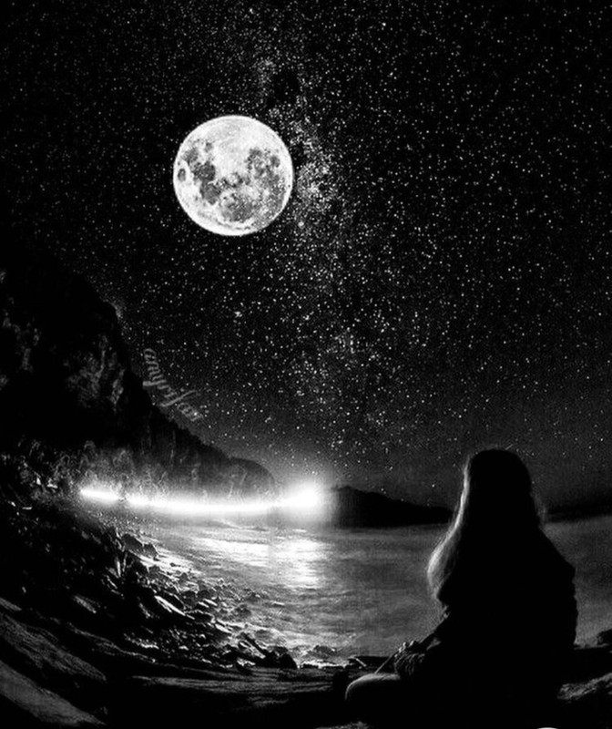 Screenshot_20221214-231240_Chrome