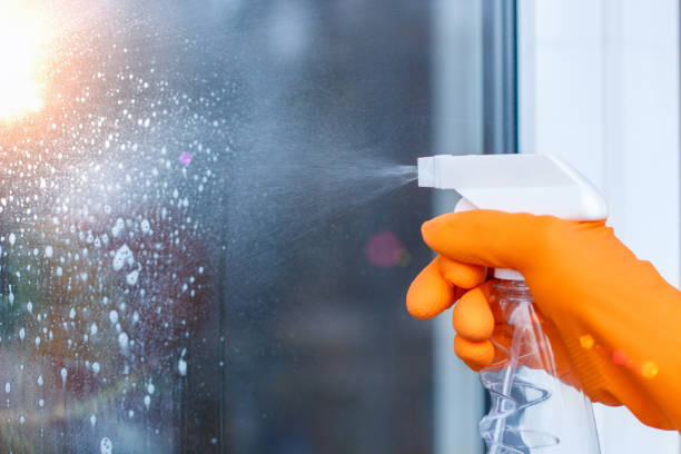 eco-friendly cleaning Los Angeles