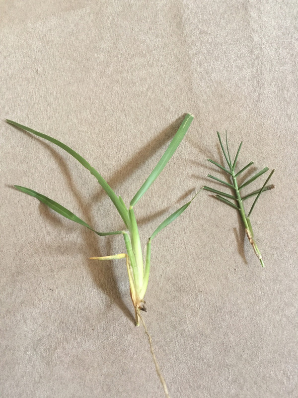 CE71E745-D979-4A6F-B64D-1EEBC360EFF6