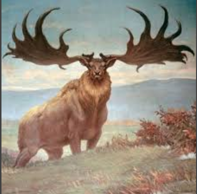 Megaloceros Preview