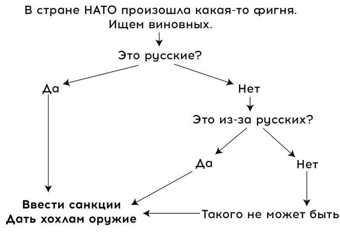 русские виноваты? photo_2022-11-17_15-21-25