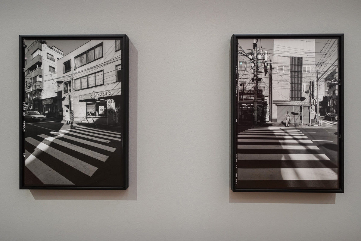 10a1 DSC05799 (FCR - Esp  0_50 - Luci -25 - Chiar  30 - Corr)