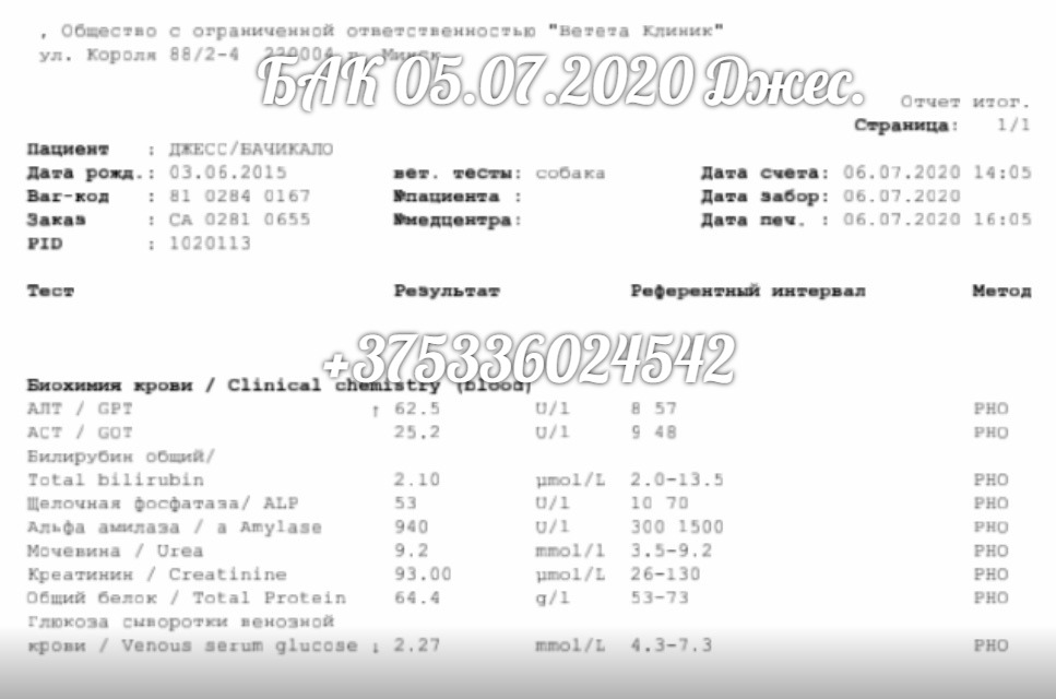 БАК 050720-надпись