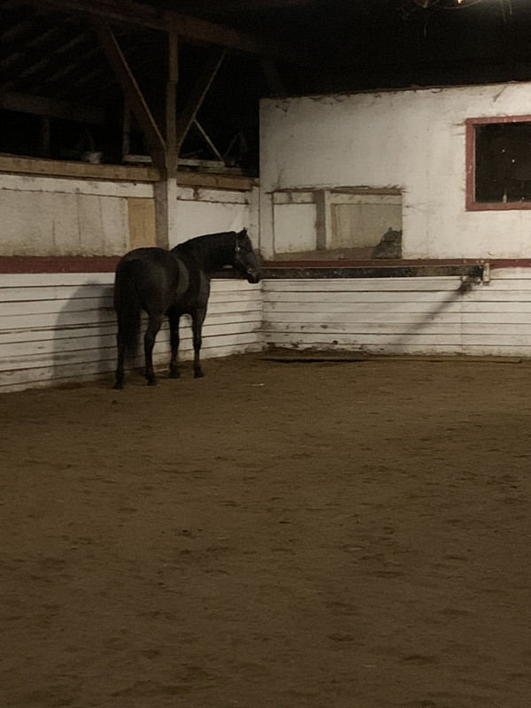 4F0ADB10-3C9E-499E-BC01-34B800B7A166