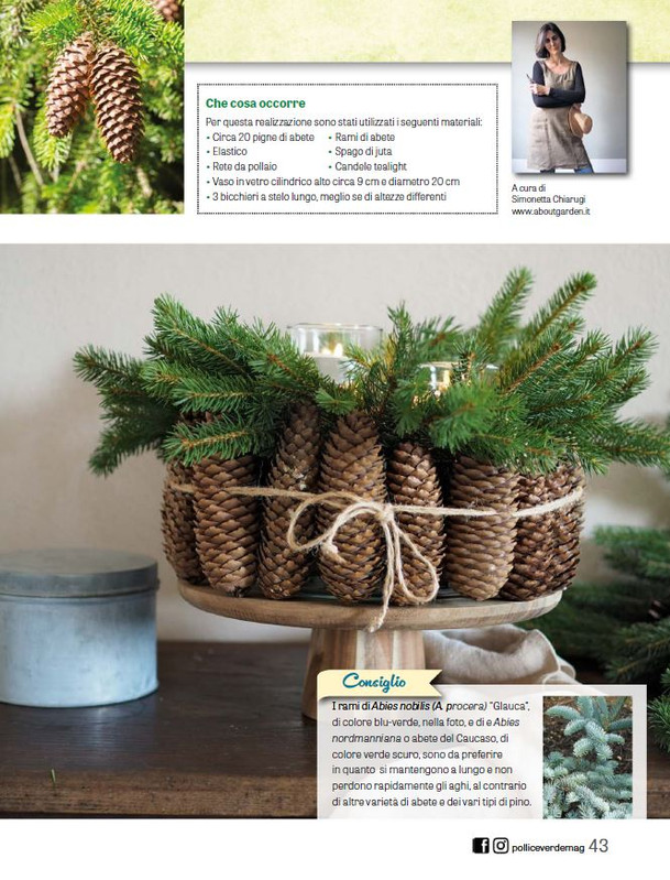 Pol Ver Dic 2025 Gen 2026 (10)