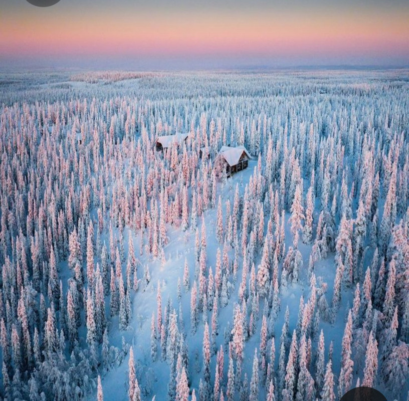 Screenshot_20231016_235226_Pinterest