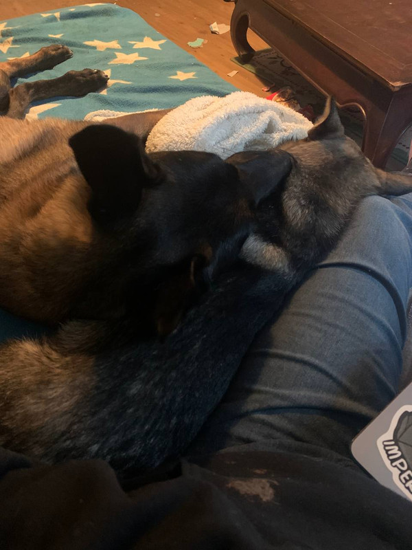 photo 2025 11 28 18 15 17