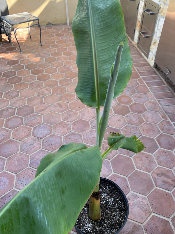 B9238D5C-D866-4458-BC90-55B8D4822C70