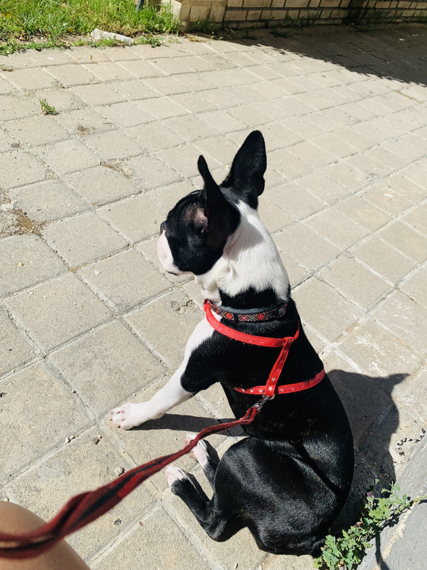 21629BF7-34F7-46F0-84D4-071B8E6BAD7B