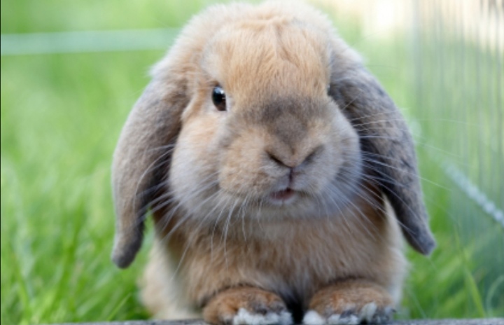 Screenshot_20210913_222020