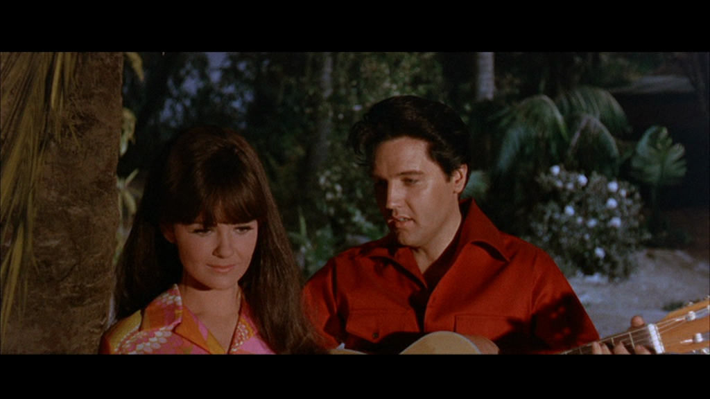 vlcsnap-2018-07-05-02h28m57s350