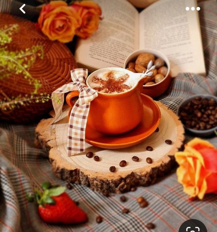 Screenshot_20230330_003356_Pinterest