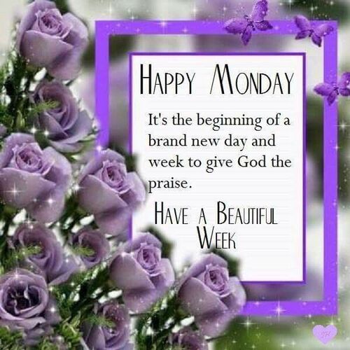 oie-1681256wu0Xv-Xqt