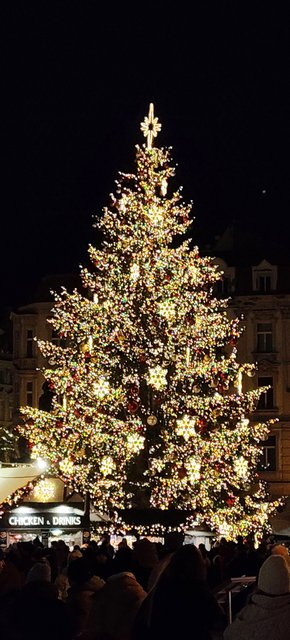 La pinacoteca del Castillo, la Galería Nacional y más Mercados de Navidad - Viena - Bratislava - Praga, Navidad 2024 (149)