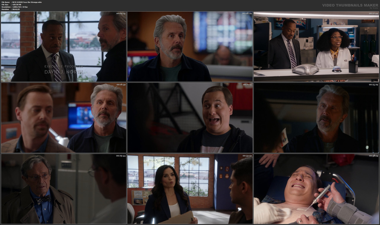 NCIS S19E05 Face the Strange.mkv