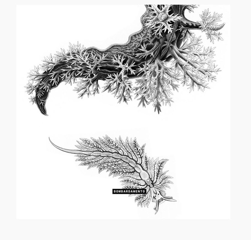 Il Peg M Poss (2020) 5