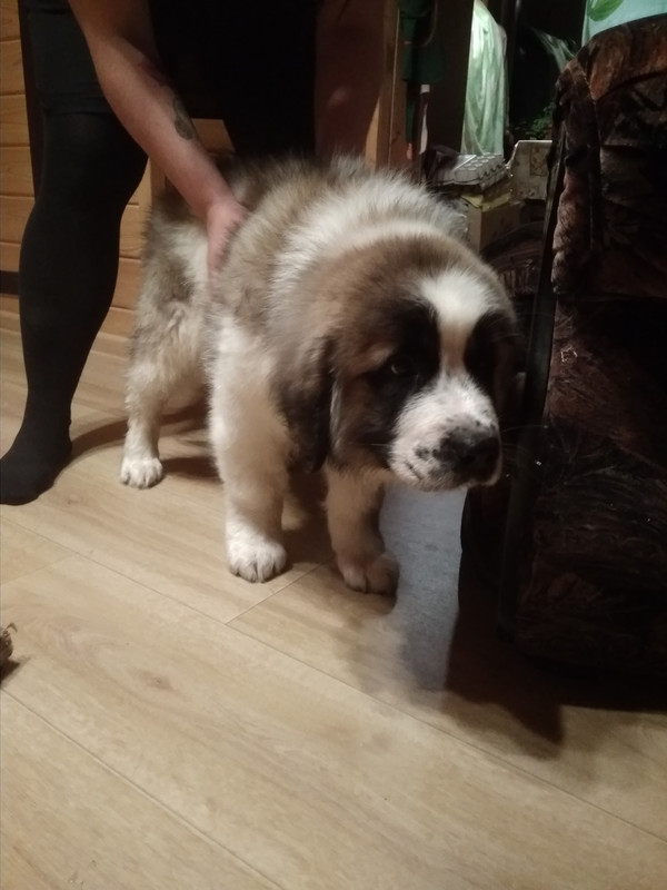 Страйк приехал