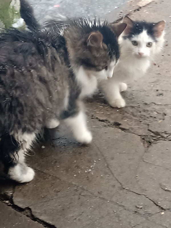 DE8C1282-1CFD-4ABD-905E-EDD54CFFB6EA