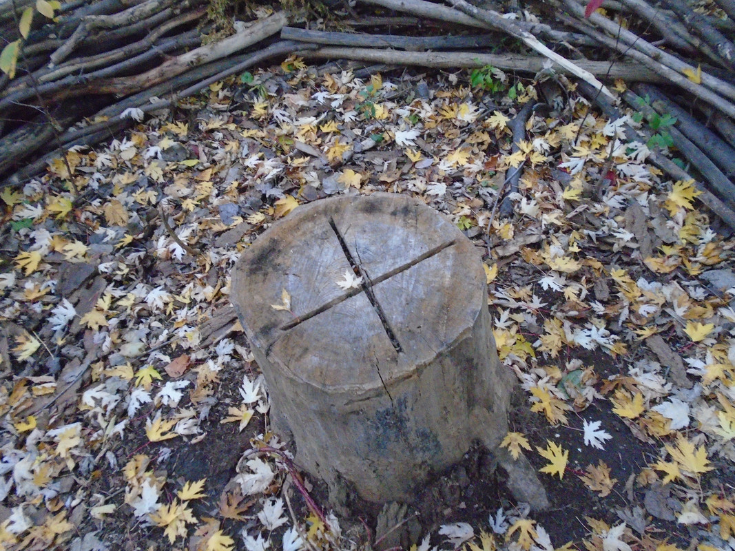 DSC00261.jpg