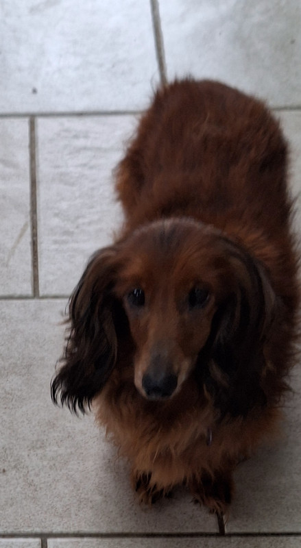 [Image: 20241103-101758.jpg]