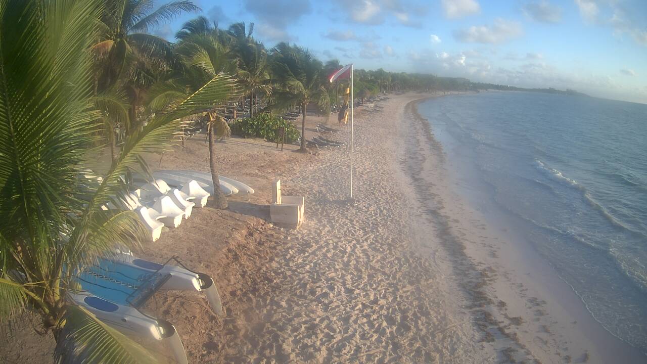 Algas en las playas de Riviera Maya (Sargazo) - Foro Riviera Maya y Caribe Mexicano