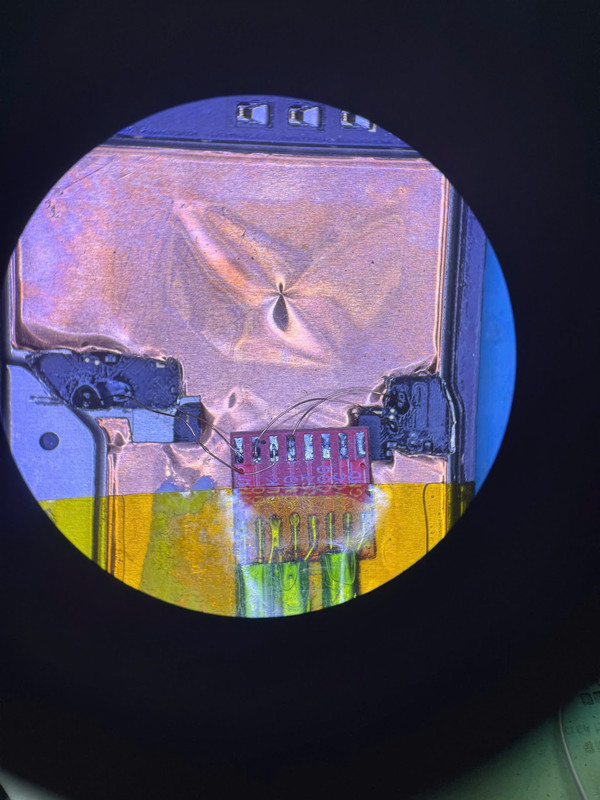 photo 2026 01 26 21 40 08