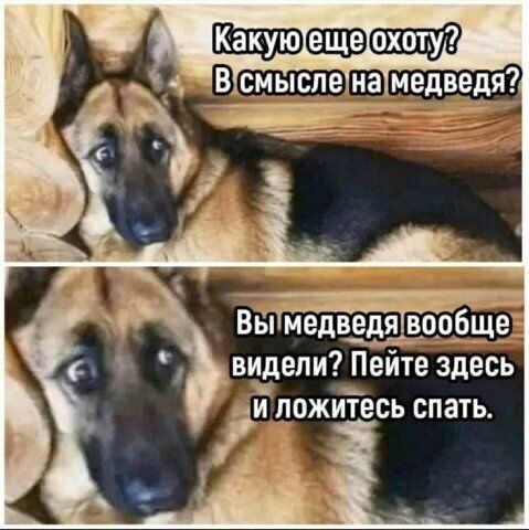 IMG_20221204_215433_849