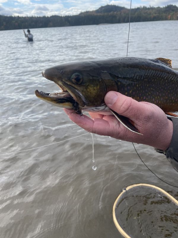 F7BDB98F-7320-4E95-83AE-B60137E94E18