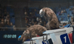 https://i.postimg.cc/kg12PtZT/147139-natation-multi-media-channels-tv-france-france-3-les-marmottes-sports.gif