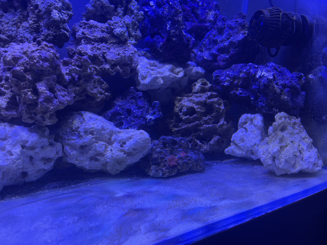 DCD113C1-F45A-4765-86C7-3D1A0792A771