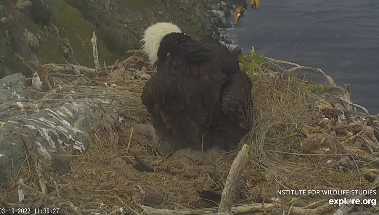 C192E30E-615E-41DC-9DF4-90C65E5141FB