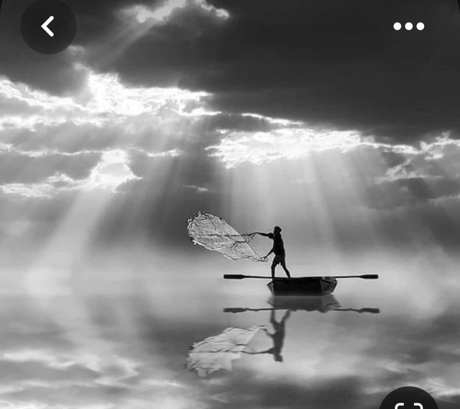 Screenshot_20230729_234224_Pinterest