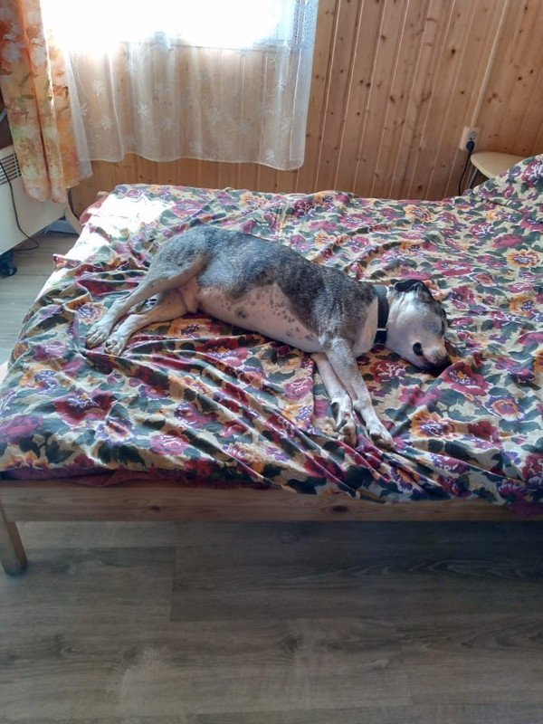 577984BA-7423-4018-A12F-479DE3451DD9