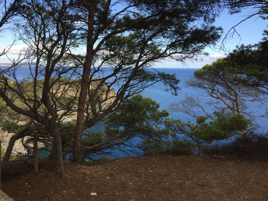 CFAFD686-A60E-4EE8-AB6F-44006D610701