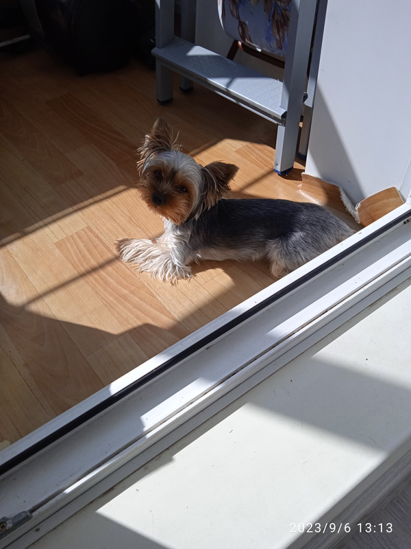 IMG_20230906_131322_1